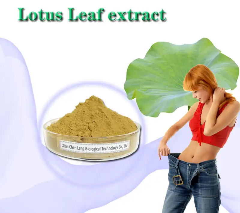 Lotus Leaf Extract Powder.jpg